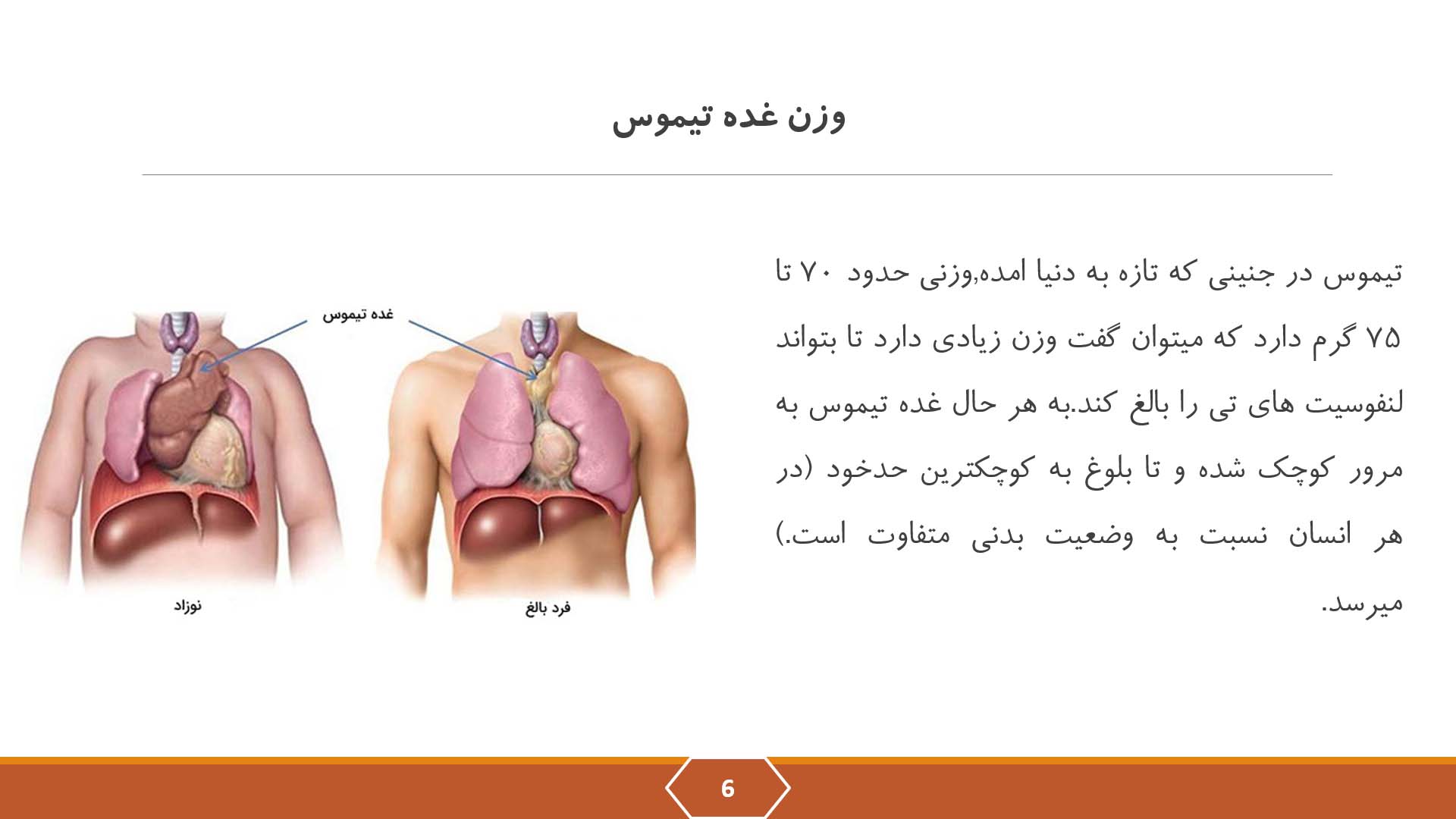 پاورپوینت در مورد غده تیموس 